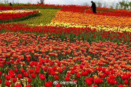 熟女自慰的专区