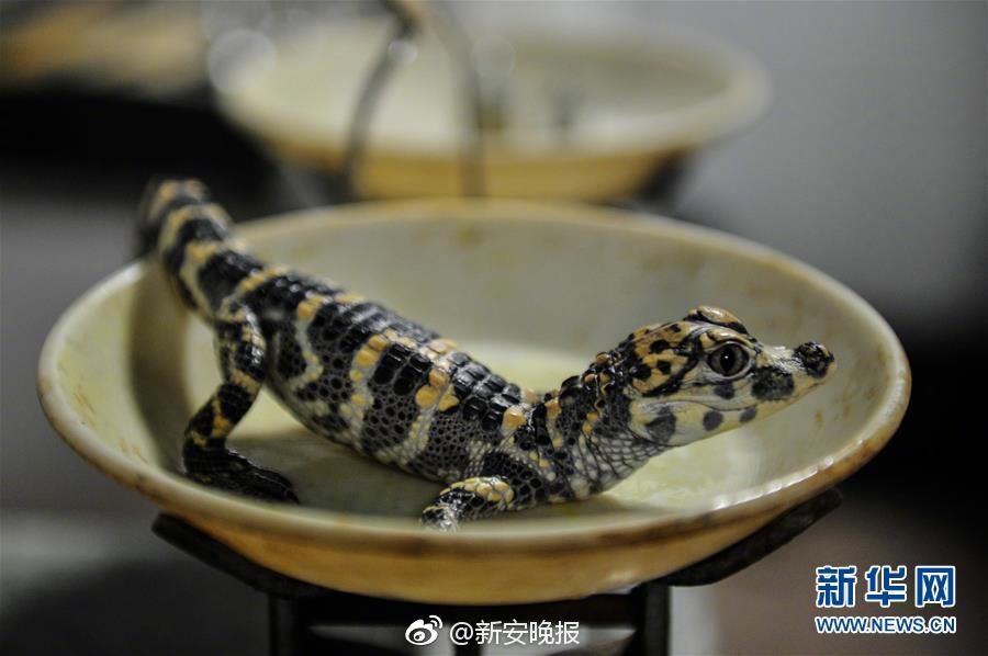 亚洲精品大片