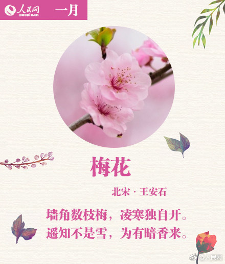 久久久久伊人