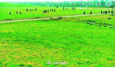 赵丽颖在房车被躁爽H
