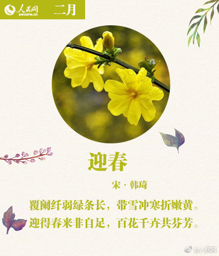 一牛影视