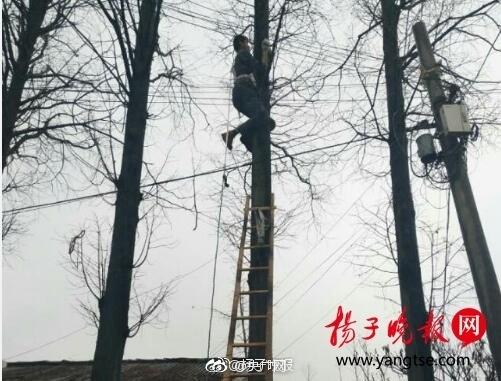 AV一级片