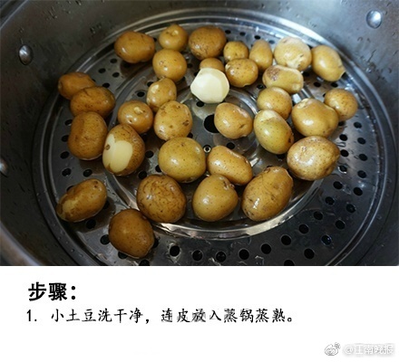 成年人看的视频在线免费播放