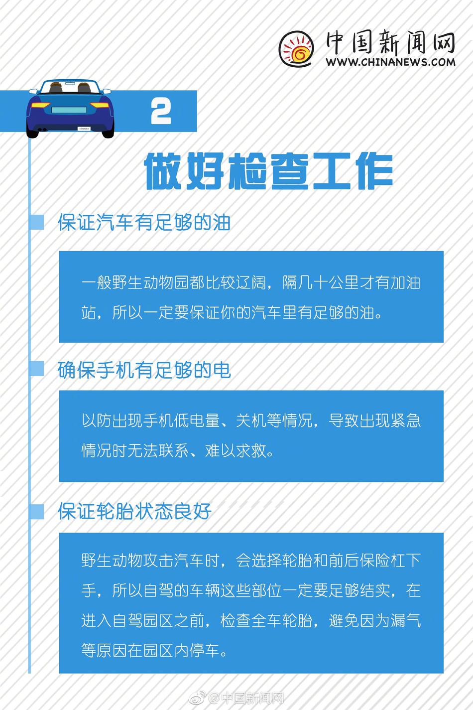 美国美女乱仑
