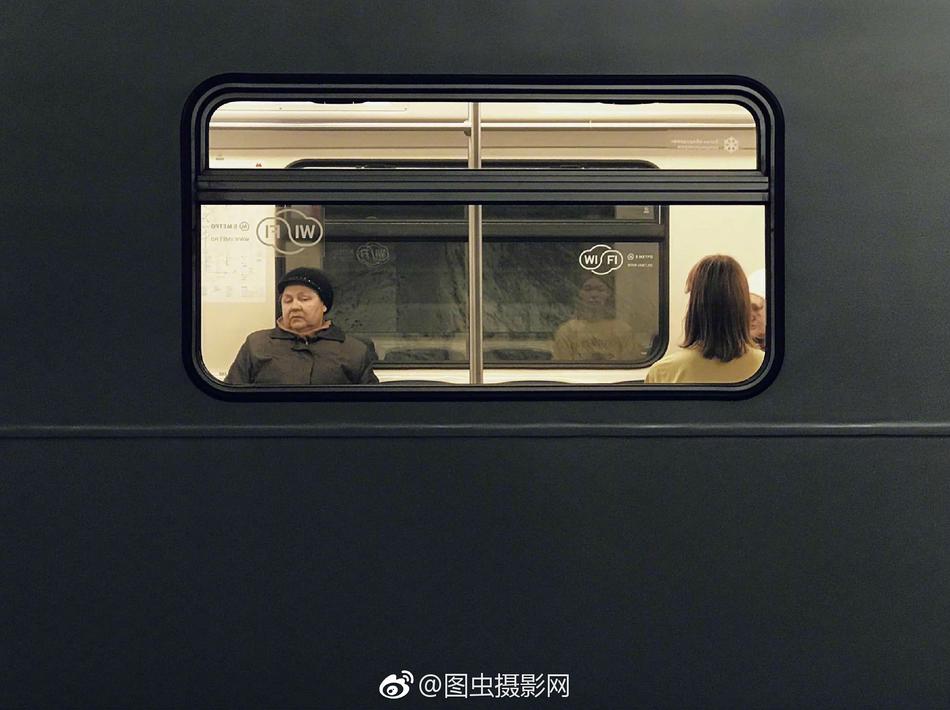 中国性老太Hd树林老少交