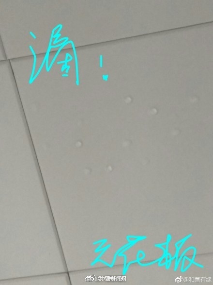 大石萌