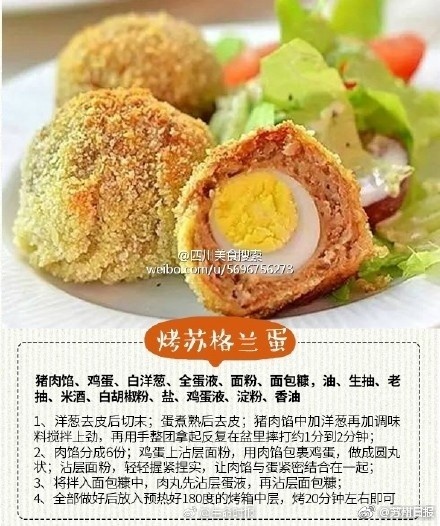 后入内射欧美99二区视频