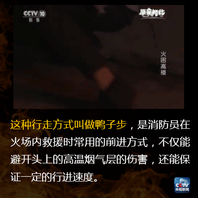中国美女一级操逼片