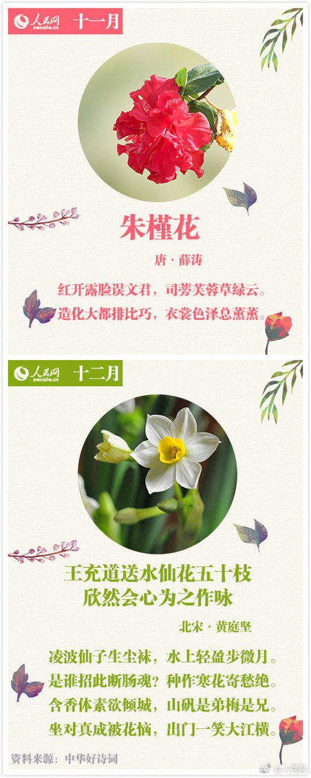 美女 裸体 热 舞