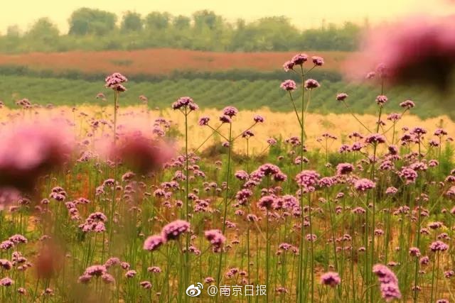 性中国毛片???潮喷