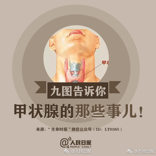 久久老司机