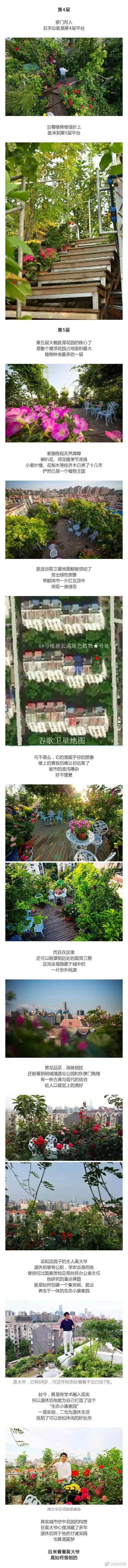 中文字幕乱妇无码Av在线