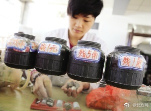 成人 视频免费观看网站