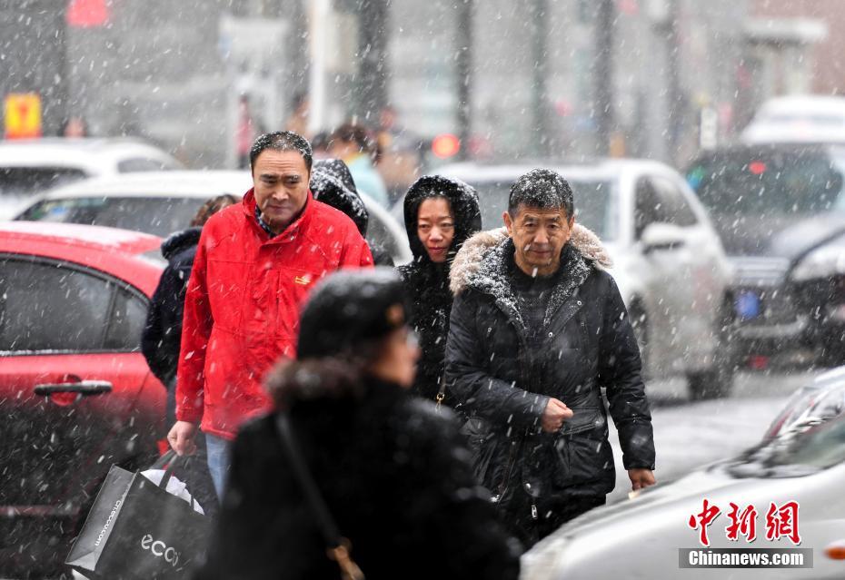 大地资源二3在线观看免费高清