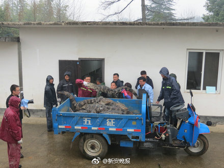 被女寝十几只白丝脚榨精动动漫