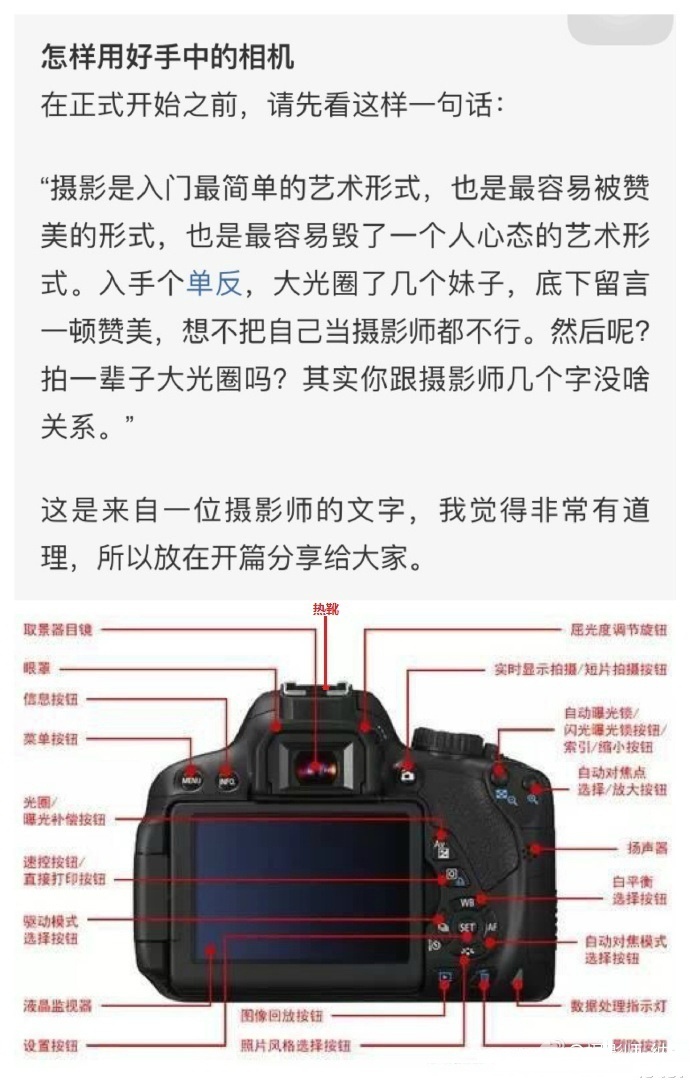 黄色电影 日本老太婆