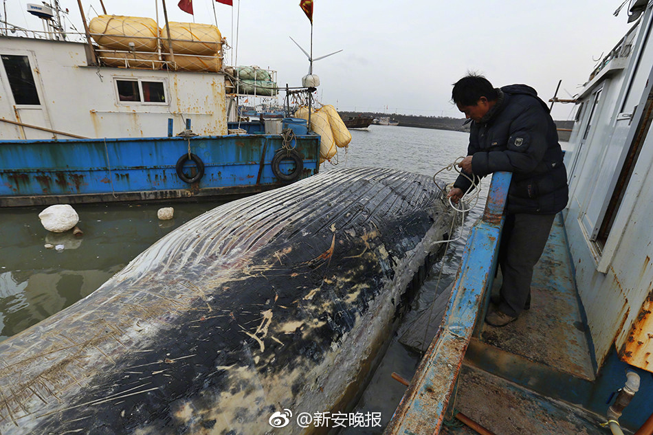 国产免费黄色网站永久