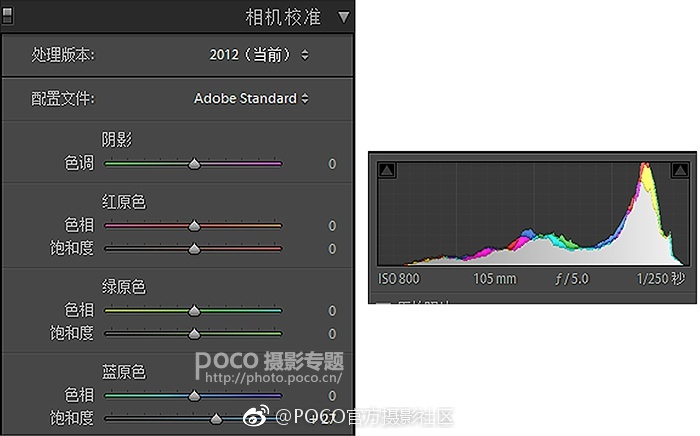 成人 抖 音 网