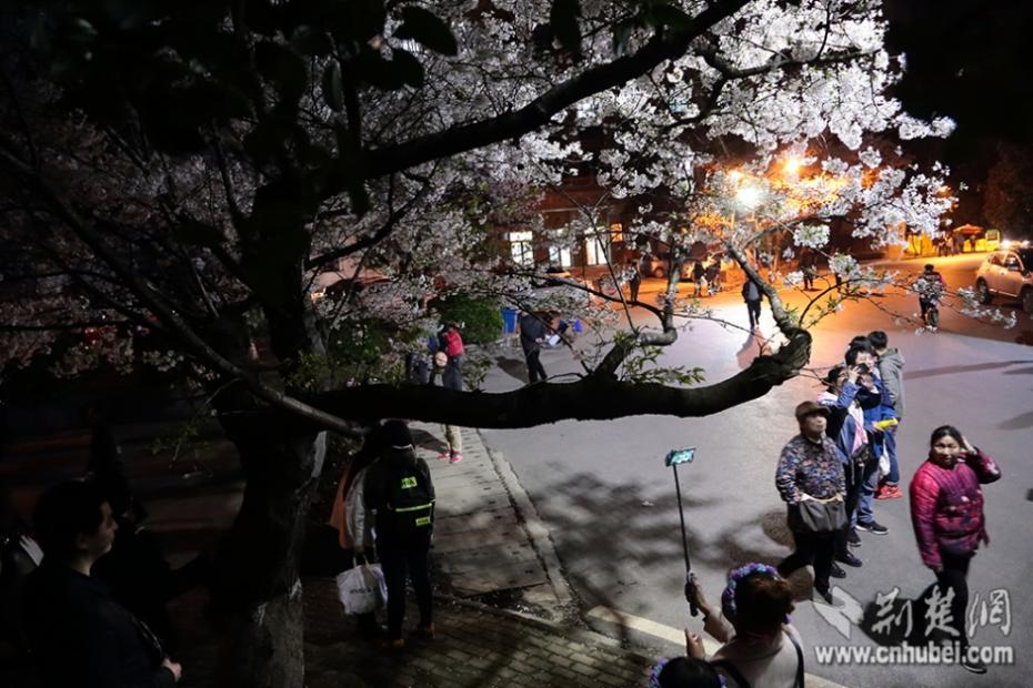 黄网站大全国产。