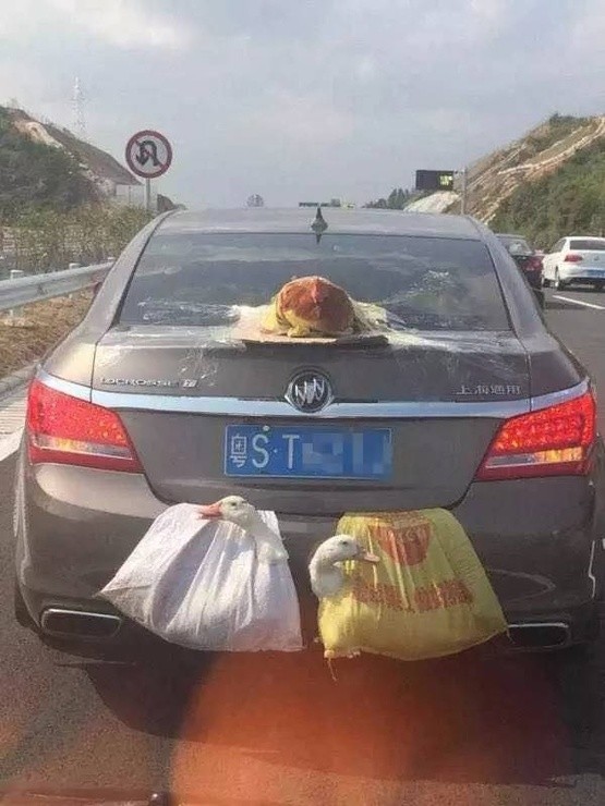 国产家人剧情操逼片
