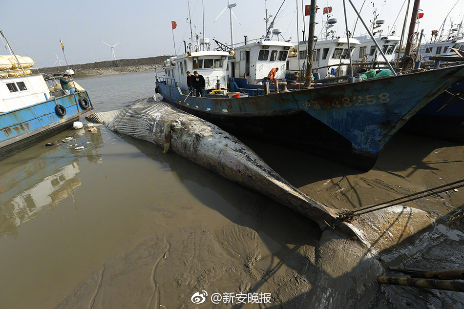 性生活性高潮黄色网站国产