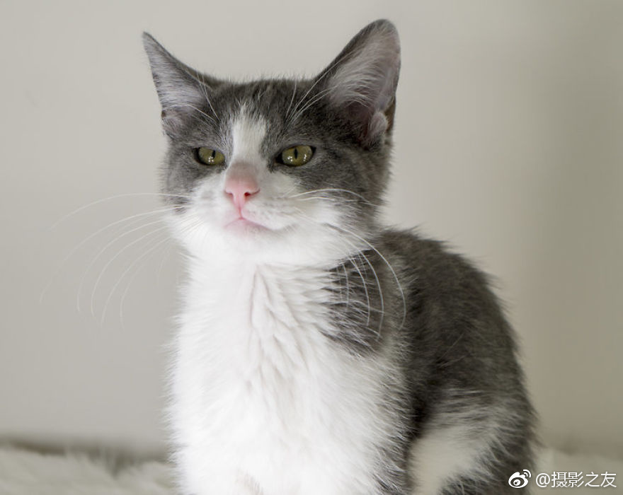 劉香慈