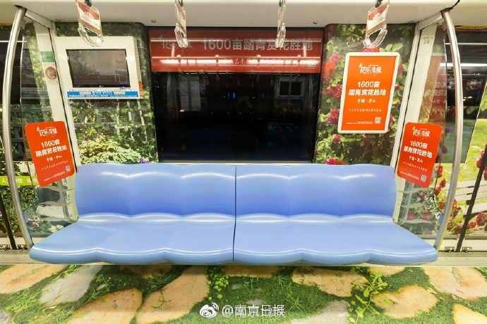 熟妇的屁股