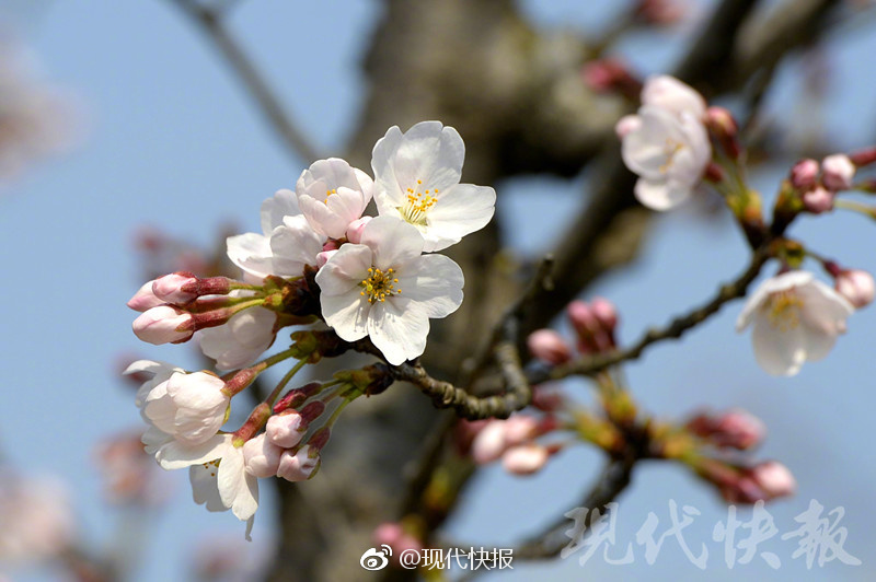 免费毛片网站