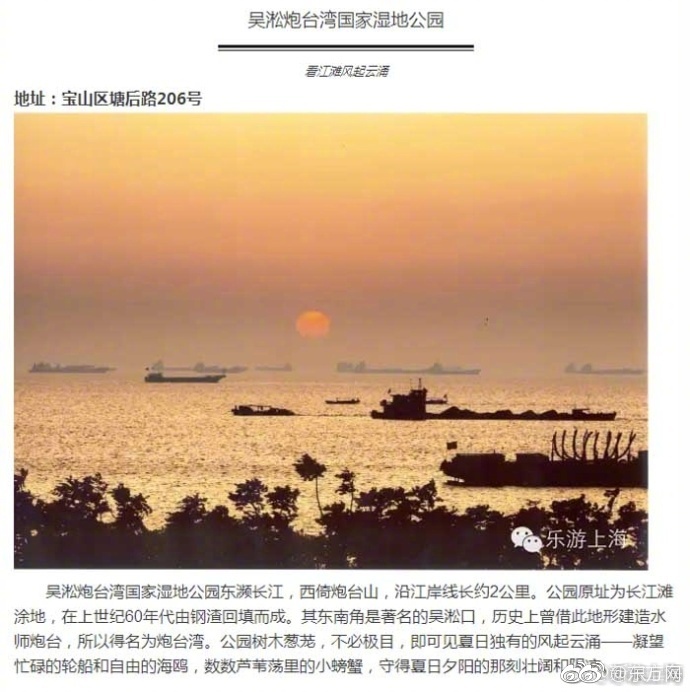 看禾苗非的黄色电影三级片夫妻生活片