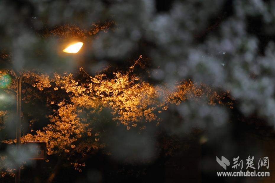 立花瑠莉
