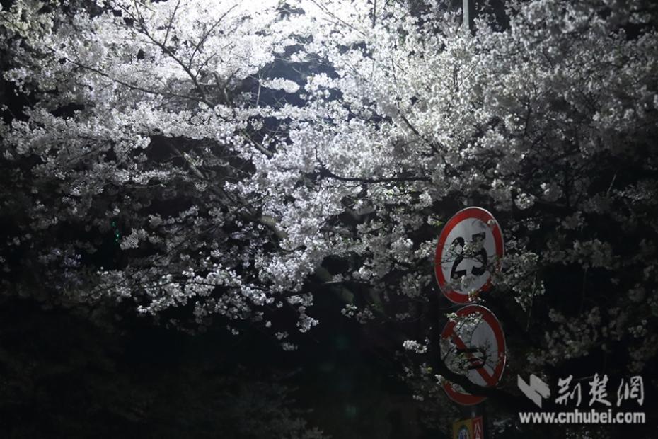 大量精液