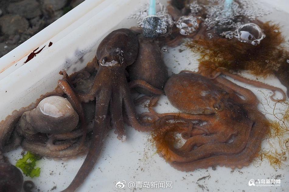 69 成人 电影
