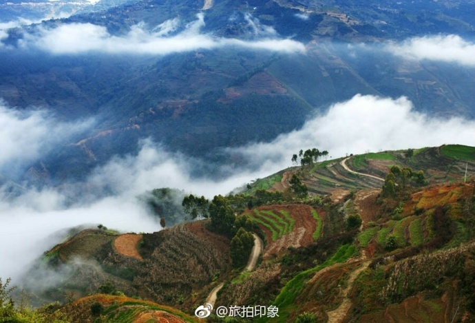 黄色台性片