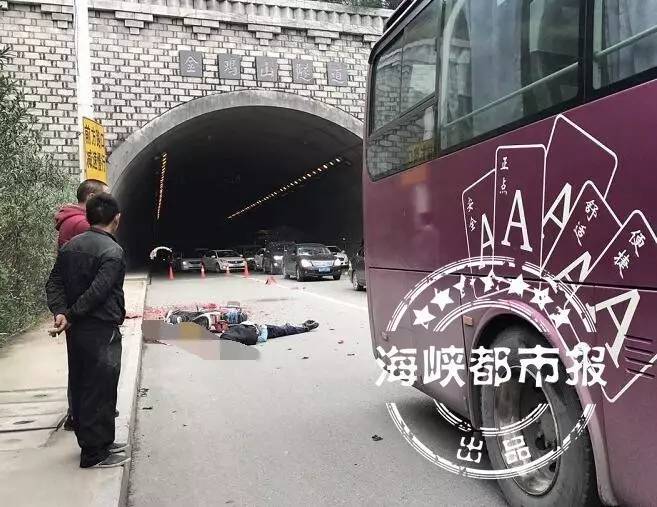 91久久精品一区二区别