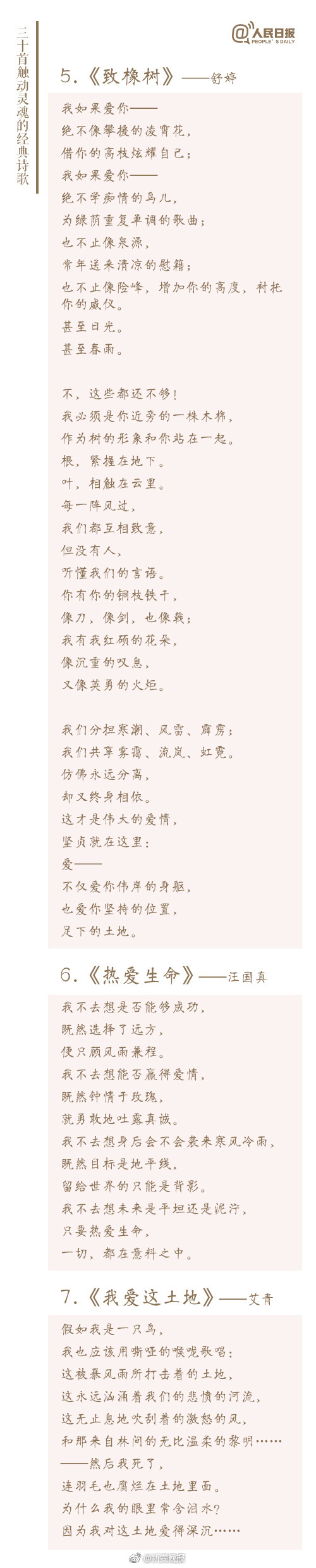 貓娘動漫