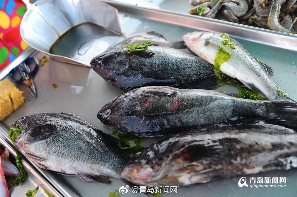 黄色网站免费观看在线