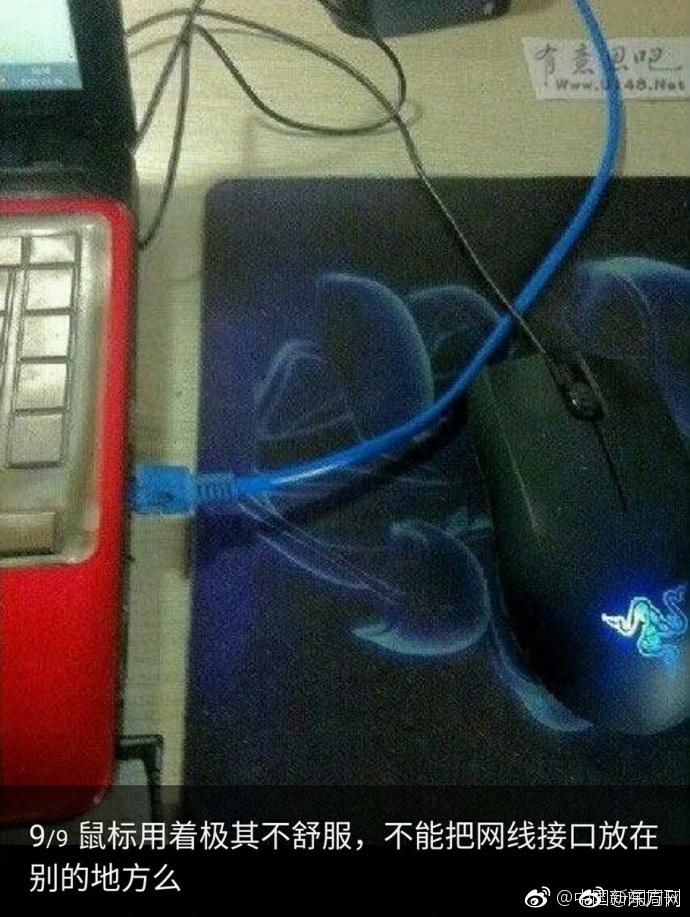 亚洲黄色网站在线免费观看