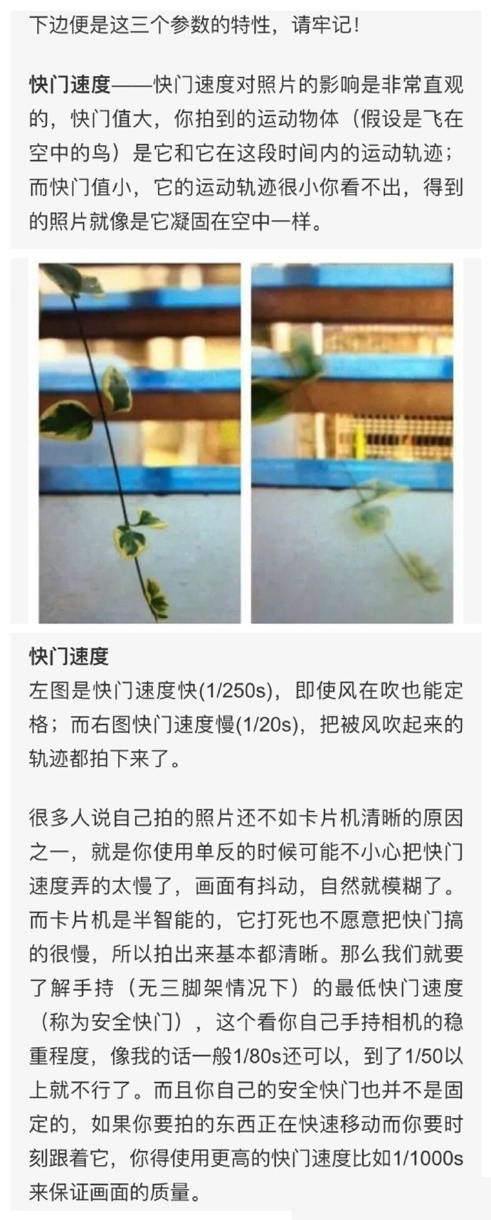 杨幂被调教成肉奴1～5