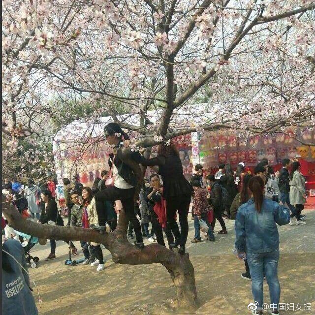 女人与拘一级毛片
