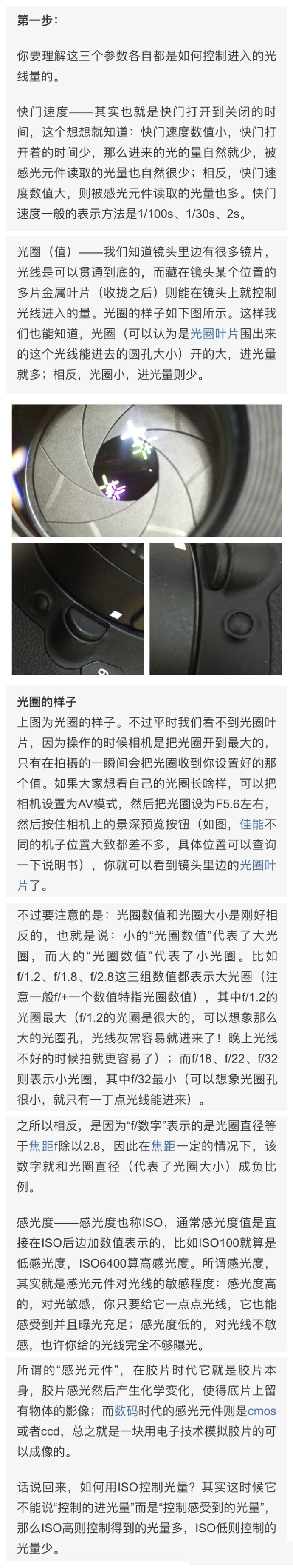欧洲老寡妇老妓女老女人