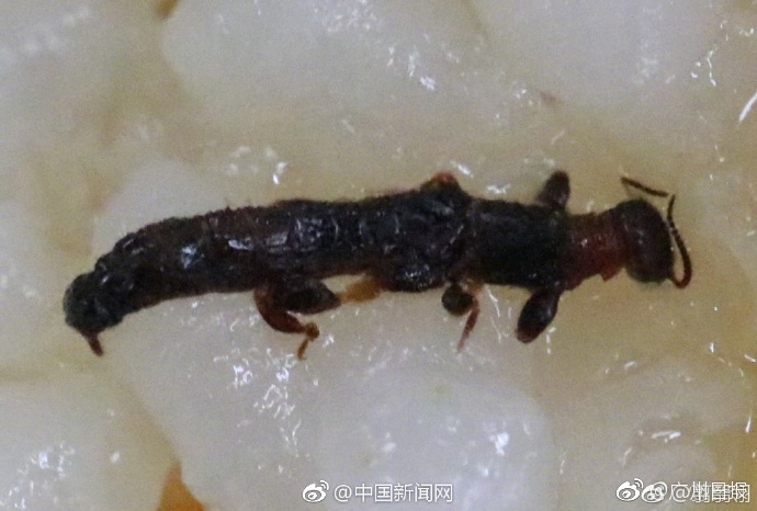 成人色综合