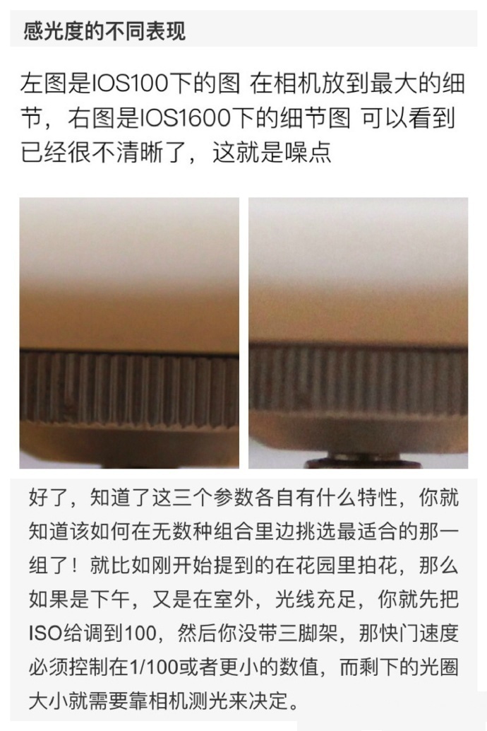 欧美怡春院