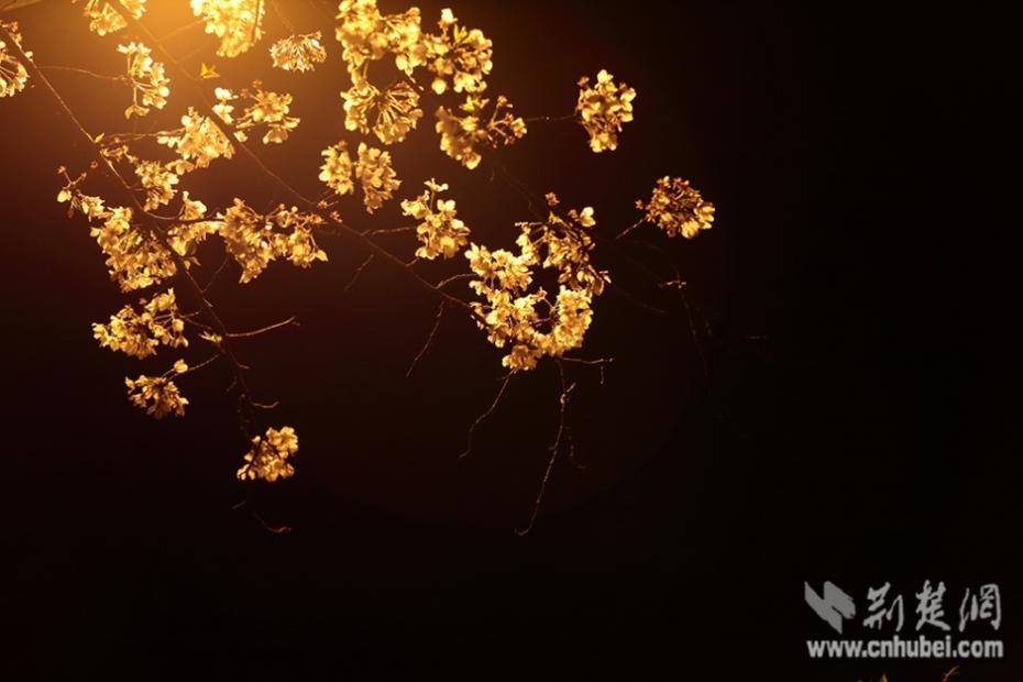 黄色 激情 网站