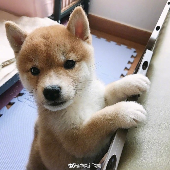 六月婷