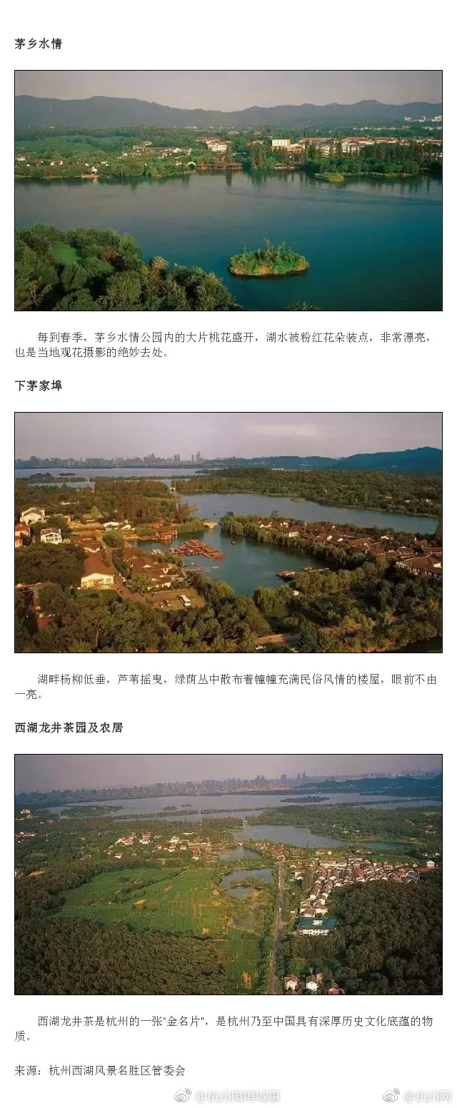 黄片在哪看中文字幕