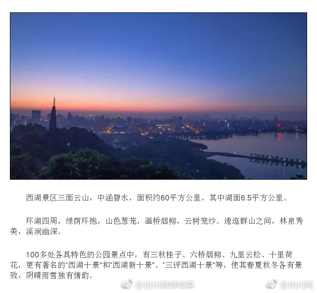 肛毛