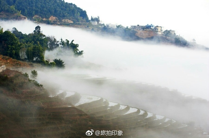波多野结衣女优视频在线看