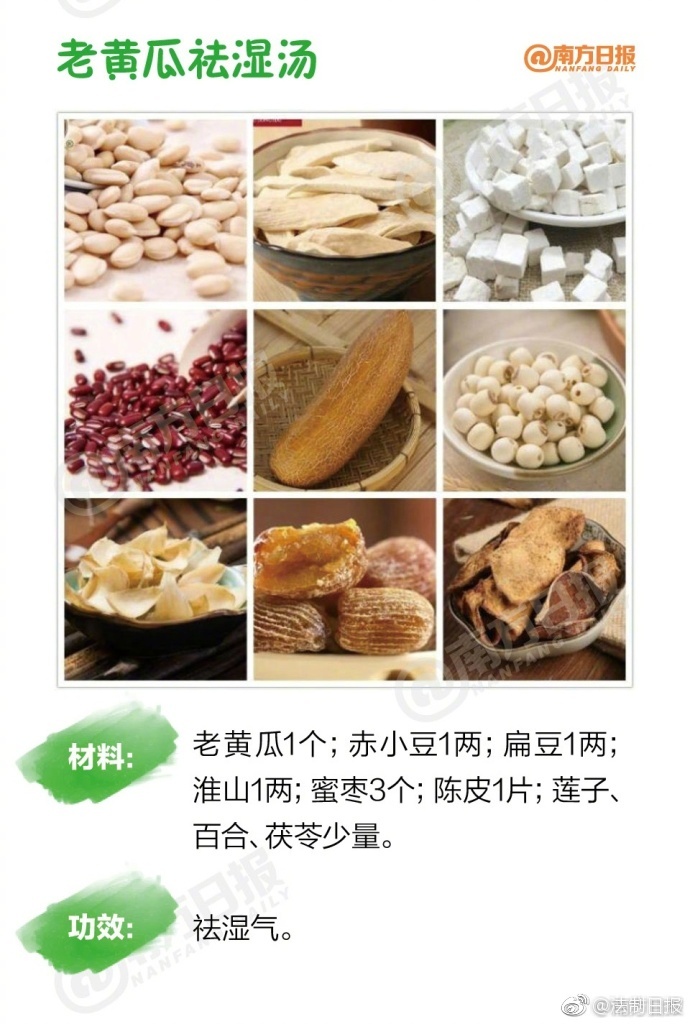 日韩伦理片孕妇孕交