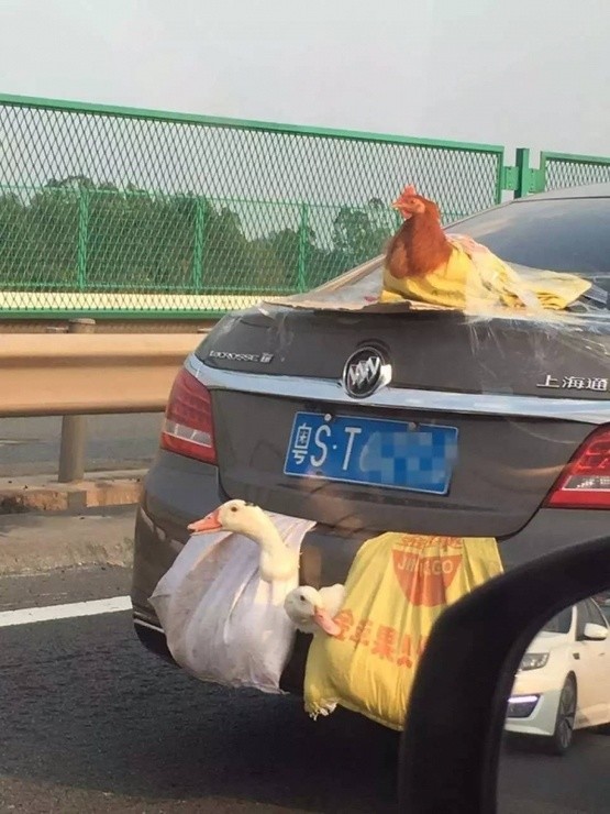 com.缅甸北部网站软件