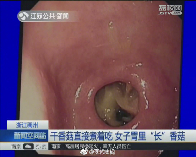 中国女人内谢28Xxxx在线